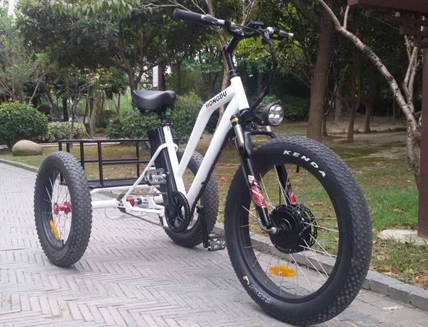 Электровелосипед трехколесный Ekobike Big Daddy 1000W 200kg