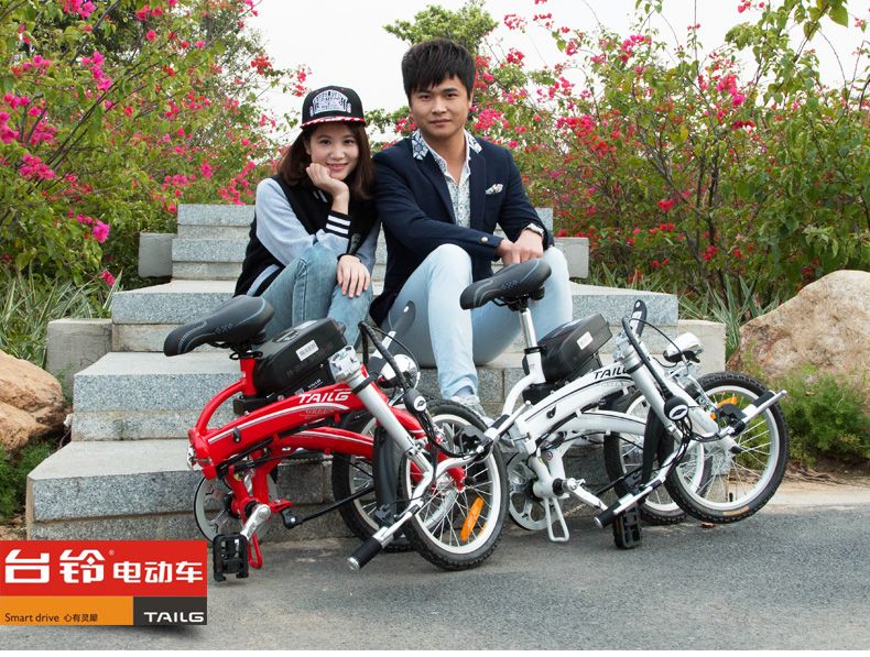 Электровелосипед TaiLG TDR 159Z 250W 36V8Ah Электровелосипед TaiLG TDR 159Z 250W 36V8Ah